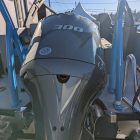 PXL_20260117_220750652.MP