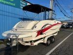 2005 Chaparral 252 Sunesta - Image 28