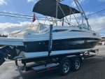 2010 Sea Ray 260 Sundeck - Image 3