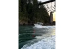 2027 Robalo R237 Dual Console - Image 25